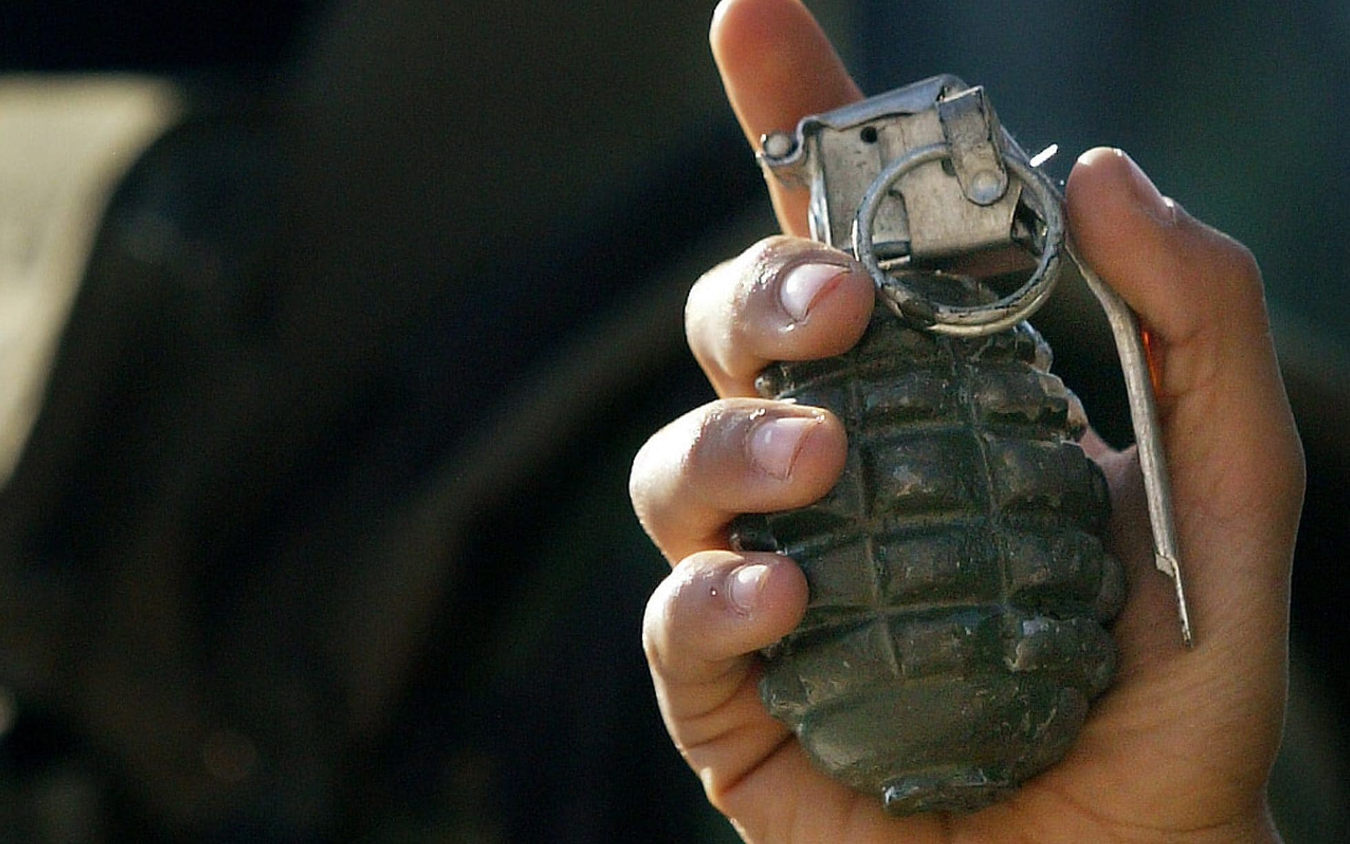 Detail Picture Of A Grenade Nomer 22