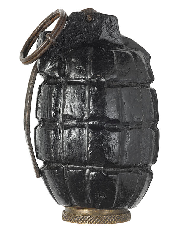 Detail Picture Of A Grenade Nomer 27