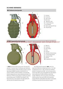 Detail Picture Of A Grenade Nomer 41