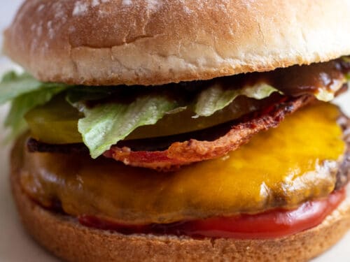 Detail Picture Of A Hamburger Nomer 43