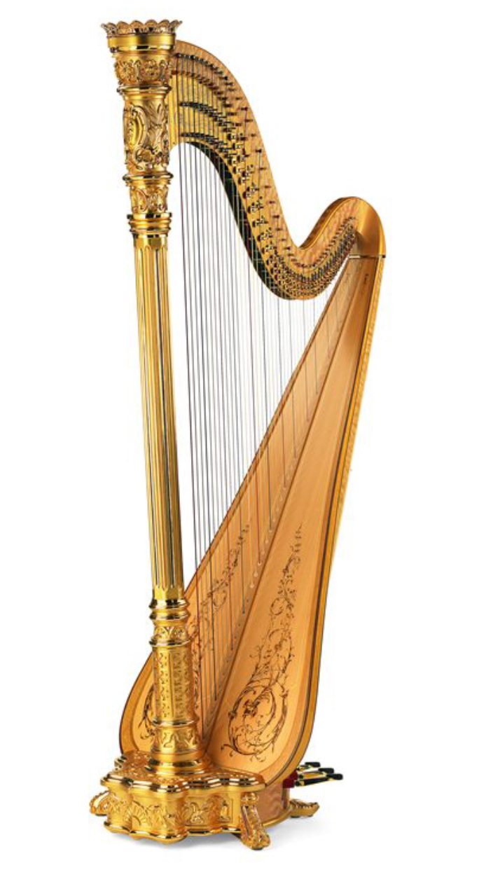 Detail Picture Of A Harp Nomer 15