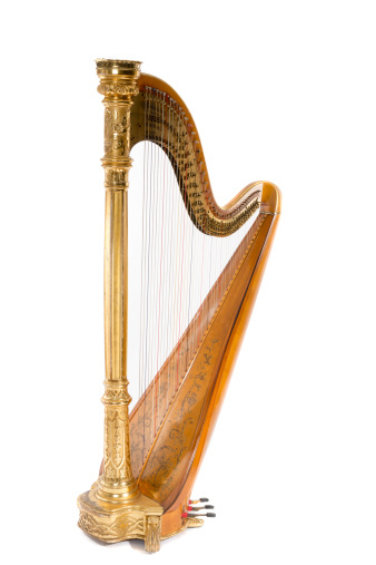 Detail Picture Of A Harp Nomer 18