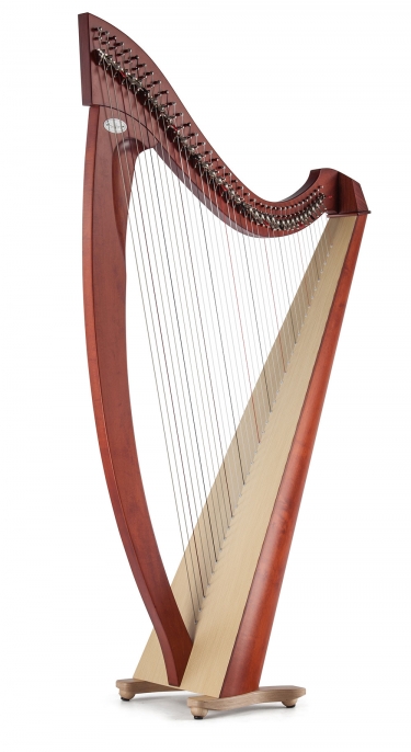 Detail Picture Of A Harp Nomer 19