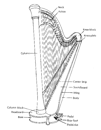 Detail Picture Of A Harp Nomer 34