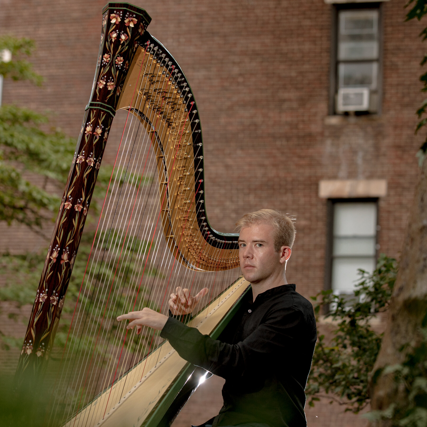 Detail Picture Of A Harp Nomer 44