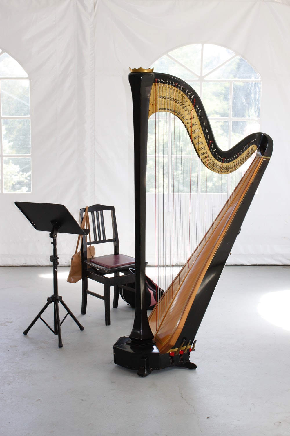 Detail Picture Of A Harp Nomer 5