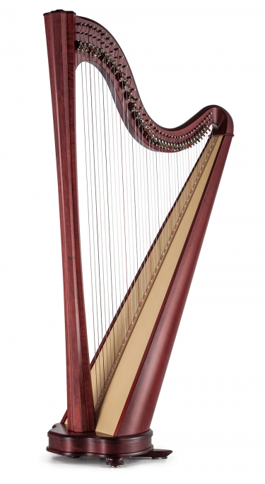 Detail Picture Of A Harp Nomer 55