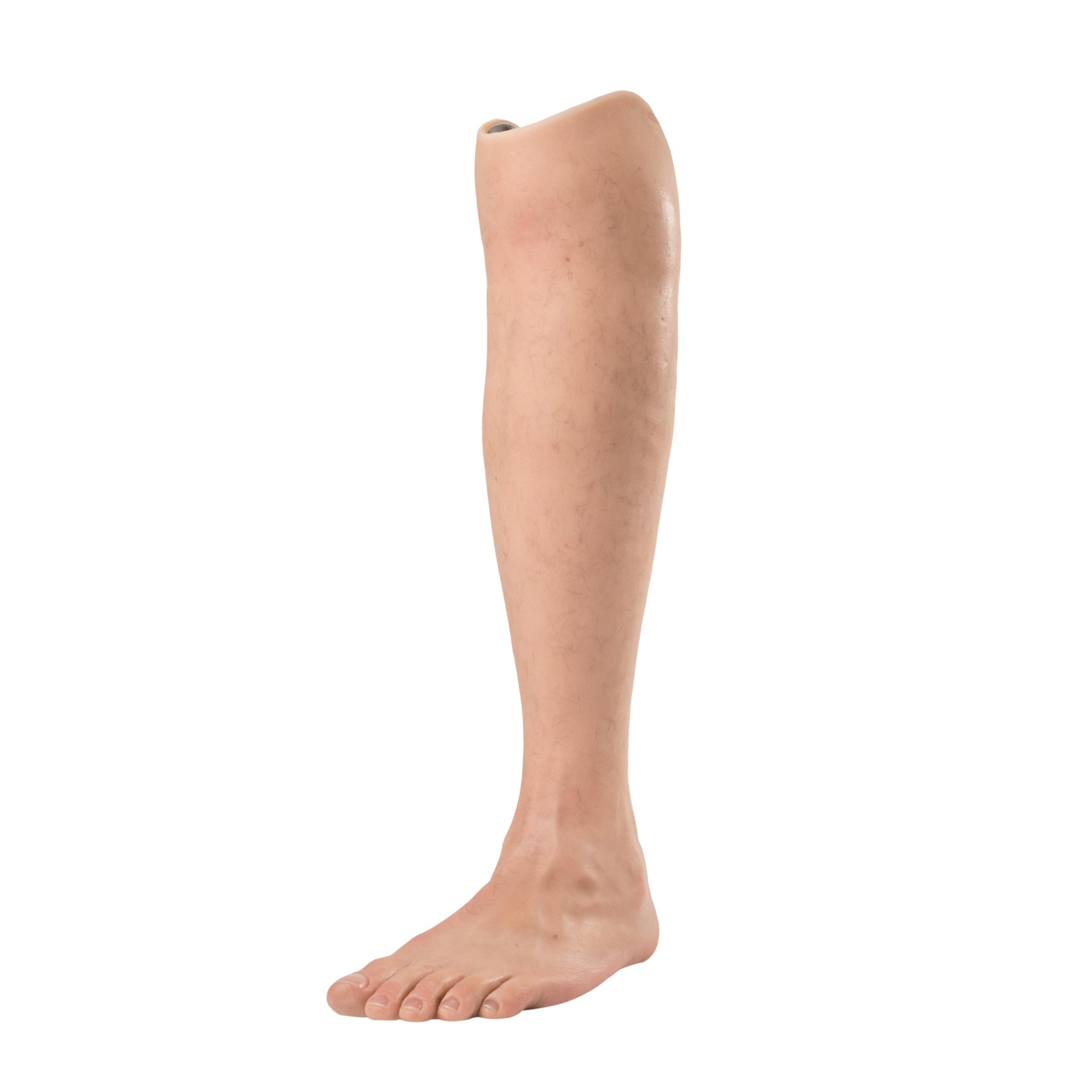 Picture Of A Leg - KibrisPDR