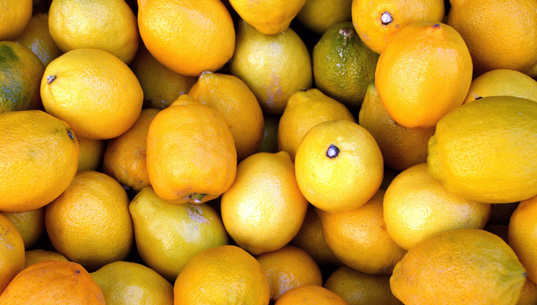 Detail Picture Of A Lemon Nomer 51