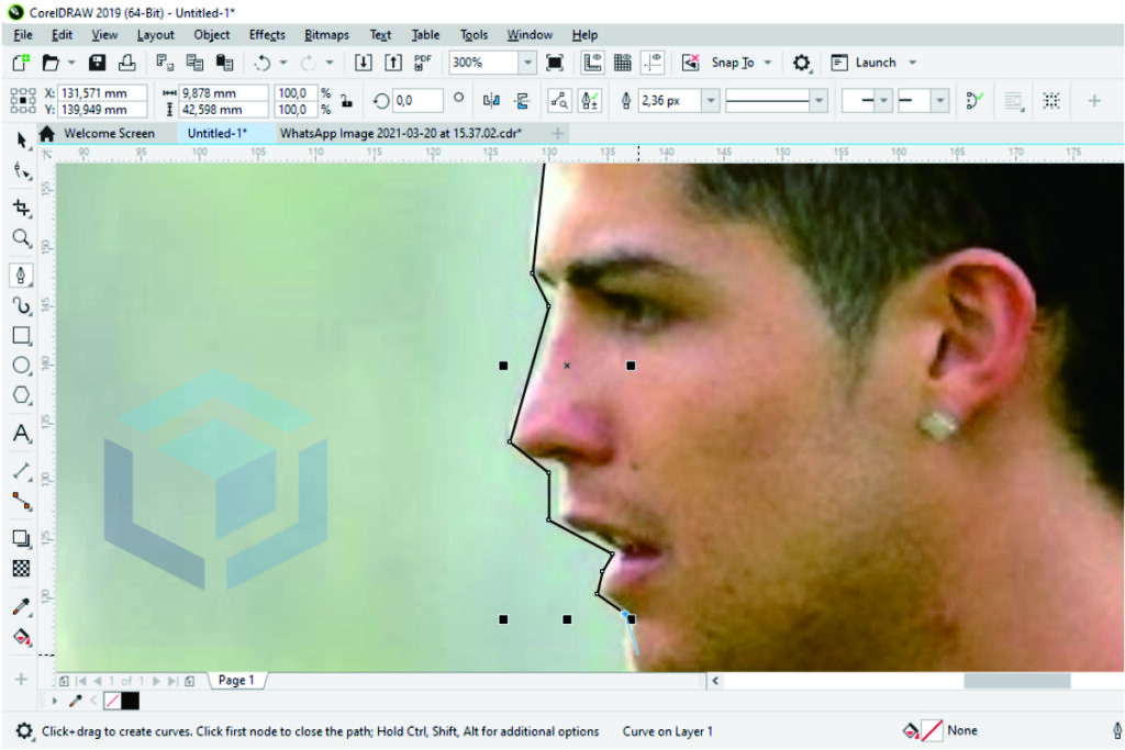 Detail Membuat Siluet Dengan Corel Nomer 54