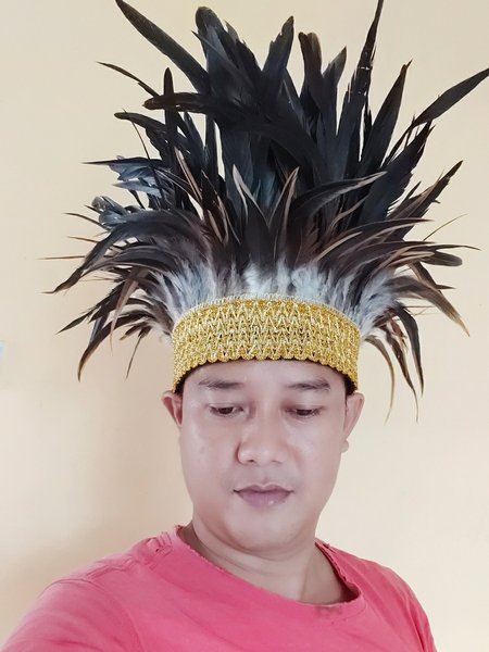 Detail Membuat Topi Dari Bulu Ayam Nomer 15