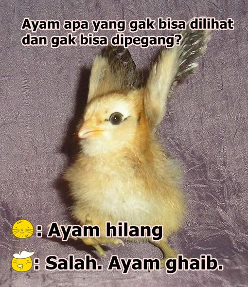 Detail Meme Ayam Goyeng Nomer 33