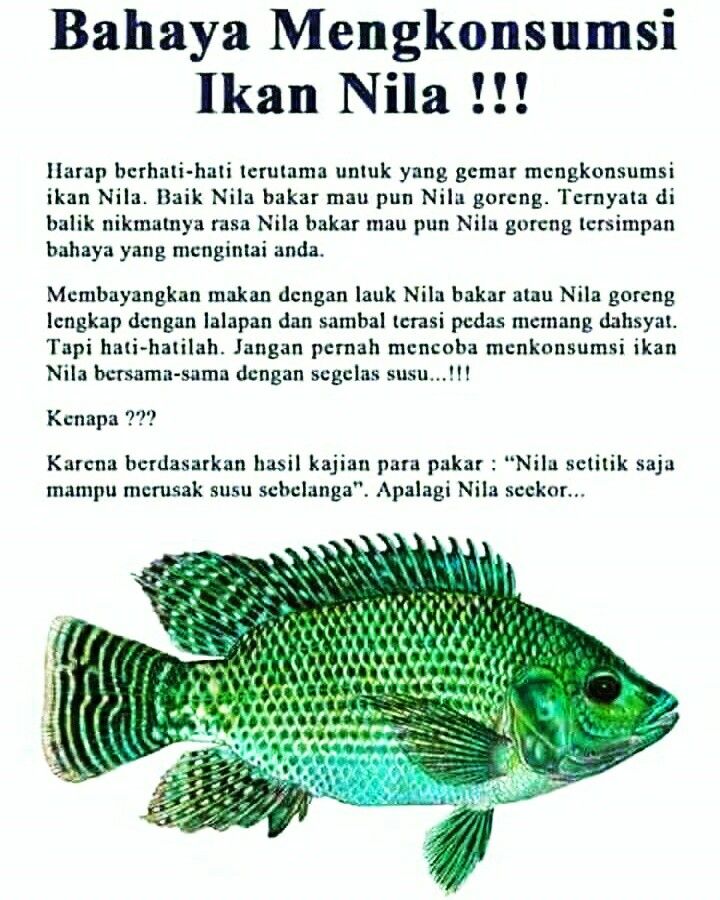 Detail Meme Bakar Ikan Nomer 10