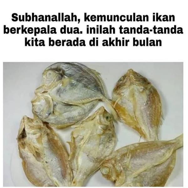 Detail Meme Bakar Ikan Nomer 39