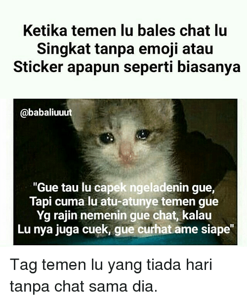 Detail Meme Bales Chat Singkat Nomer 31