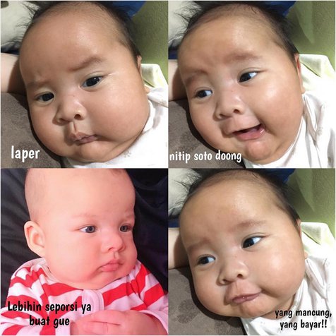 Detail Meme Bayi Lucu Nomer 17