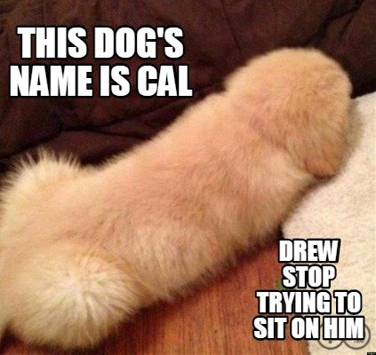 Detail Meme Dog Names Nomer 26