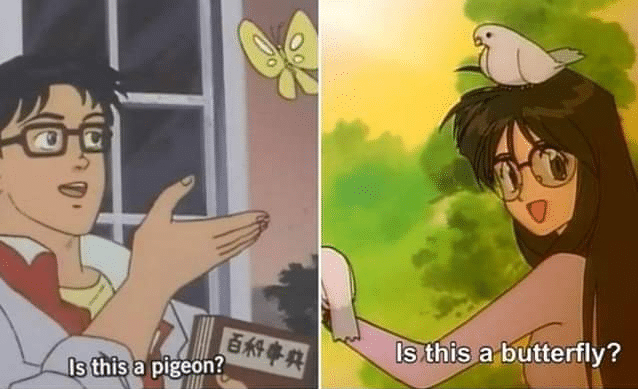 Detail Meme Generator Is This A Pigeon Nomer 5