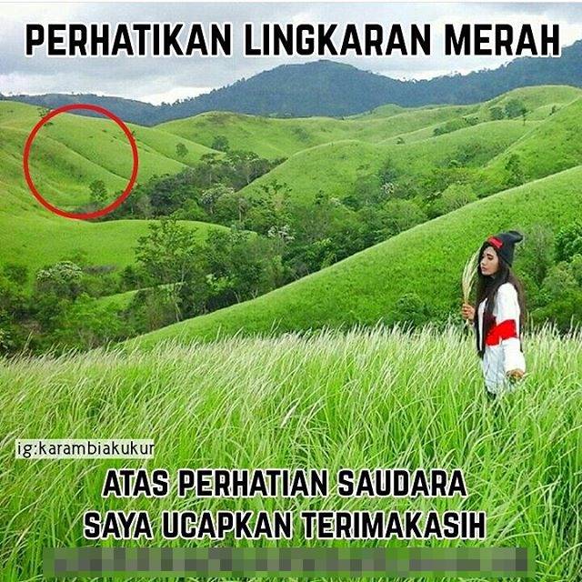 Detail Meme Kesel Lucu Nomer 38