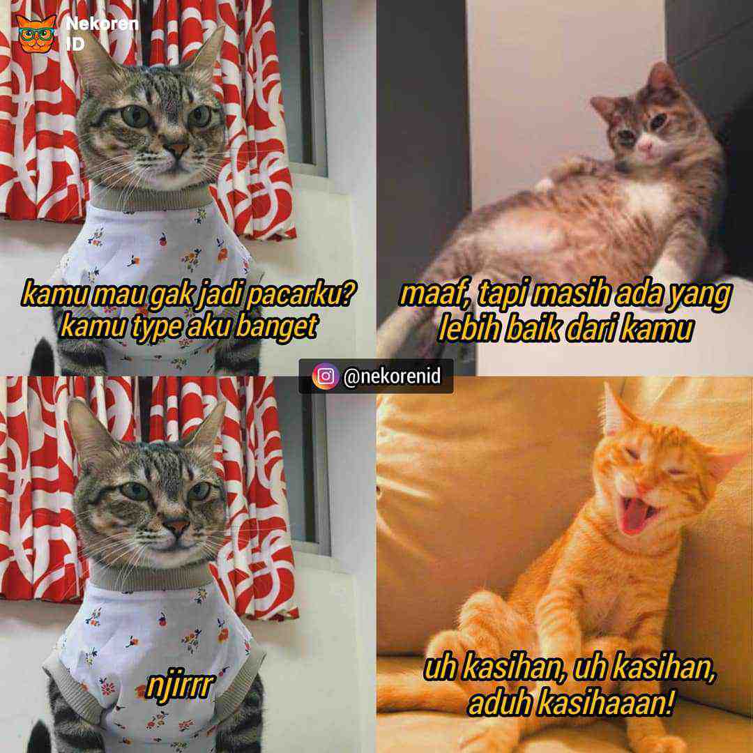 Detail Meme Kucing Kocak Nomer 19