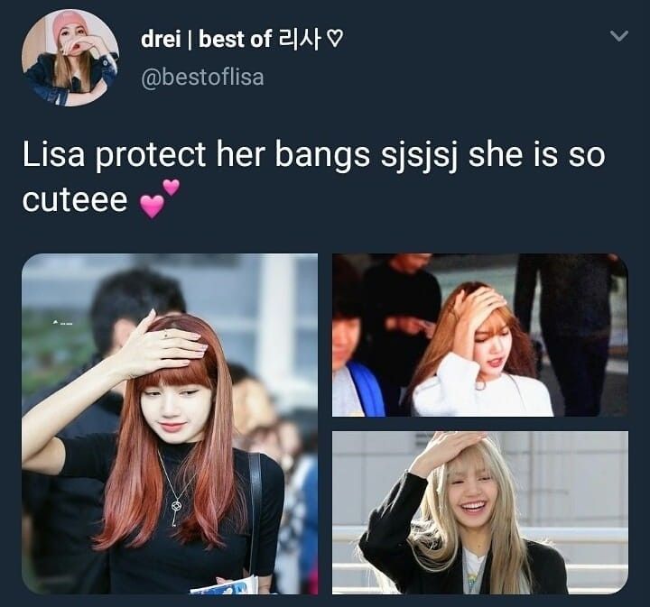 Detail Meme Lisa Blackpink Nomer 35