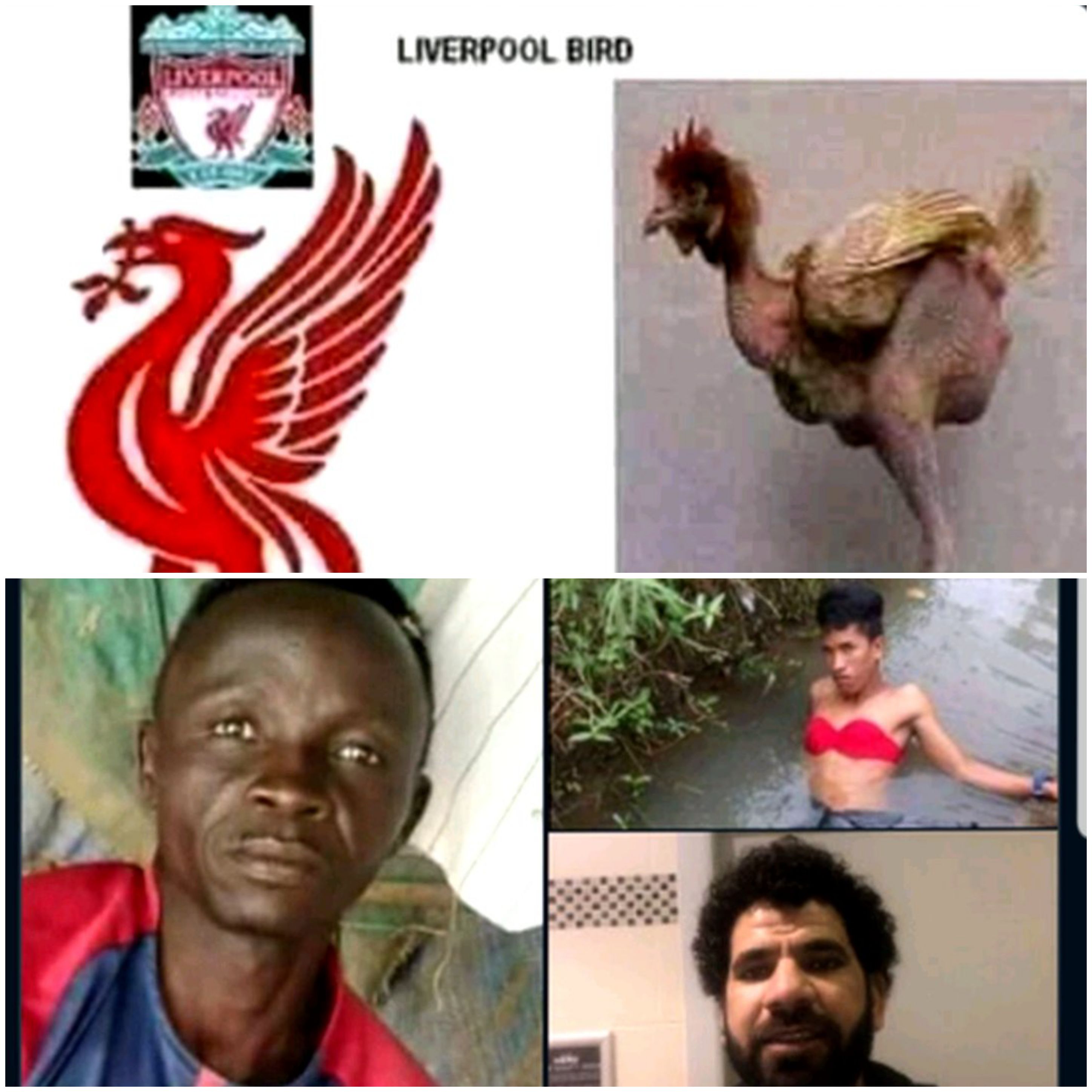 Detail Meme Liverpool Kalah Nomer 2