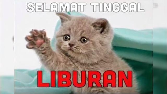 Detail Meme Lucu Galau Nomer 28