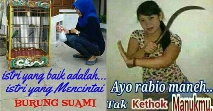 Detail Meme Lucu Galau Nomer 34