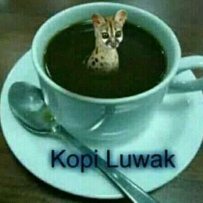 Detail Meme Lucu Kopi Susu Nomer 30