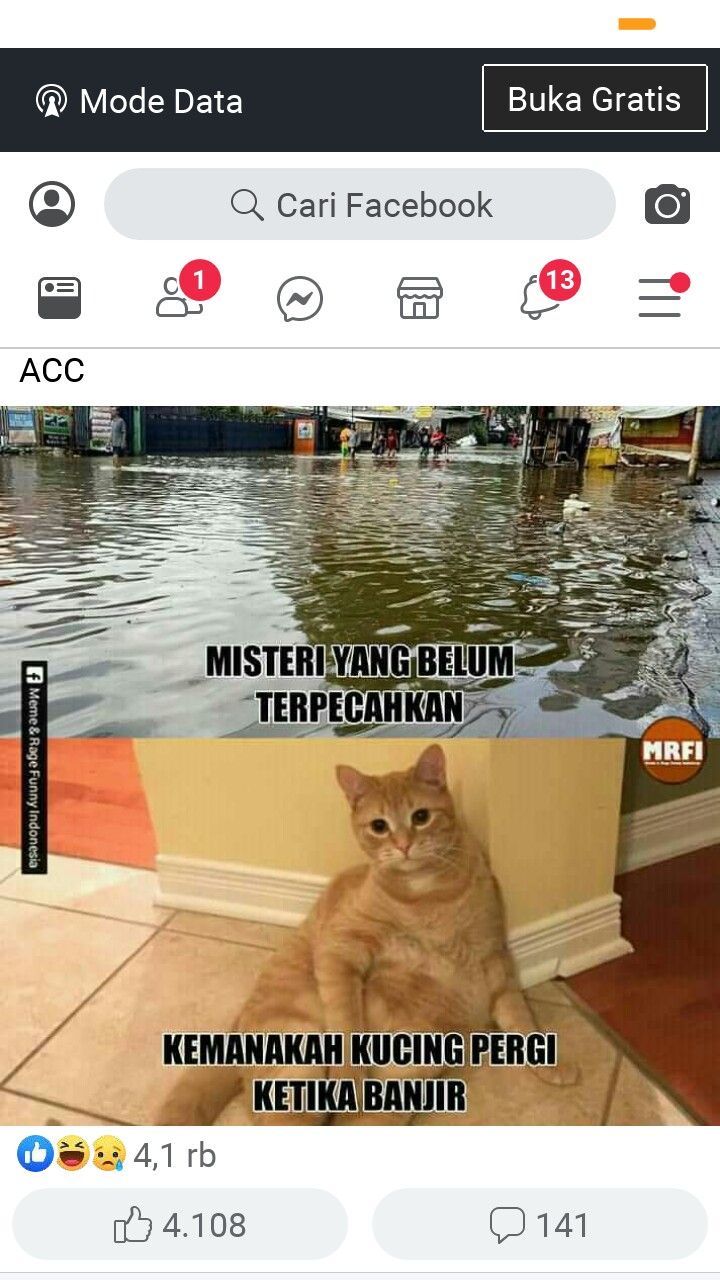 Detail Meme Lucu Kucing Nomer 43