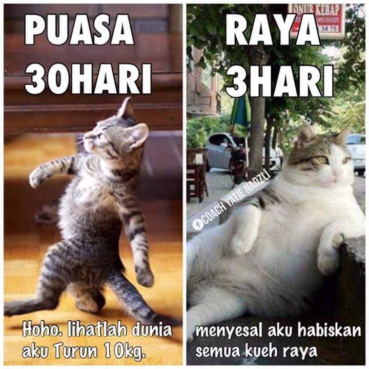 Detail Meme Lucu Ramadhan Nomer 42