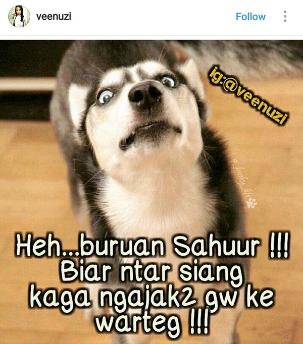 Detail Meme Lucu Sahur Nomer 8