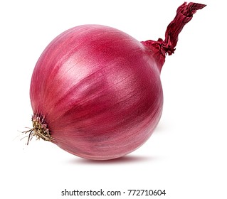 Detail Picture Of A Onion Nomer 16