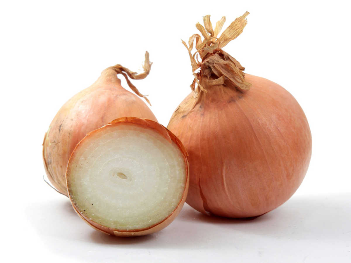 Detail Picture Of A Onion Nomer 17
