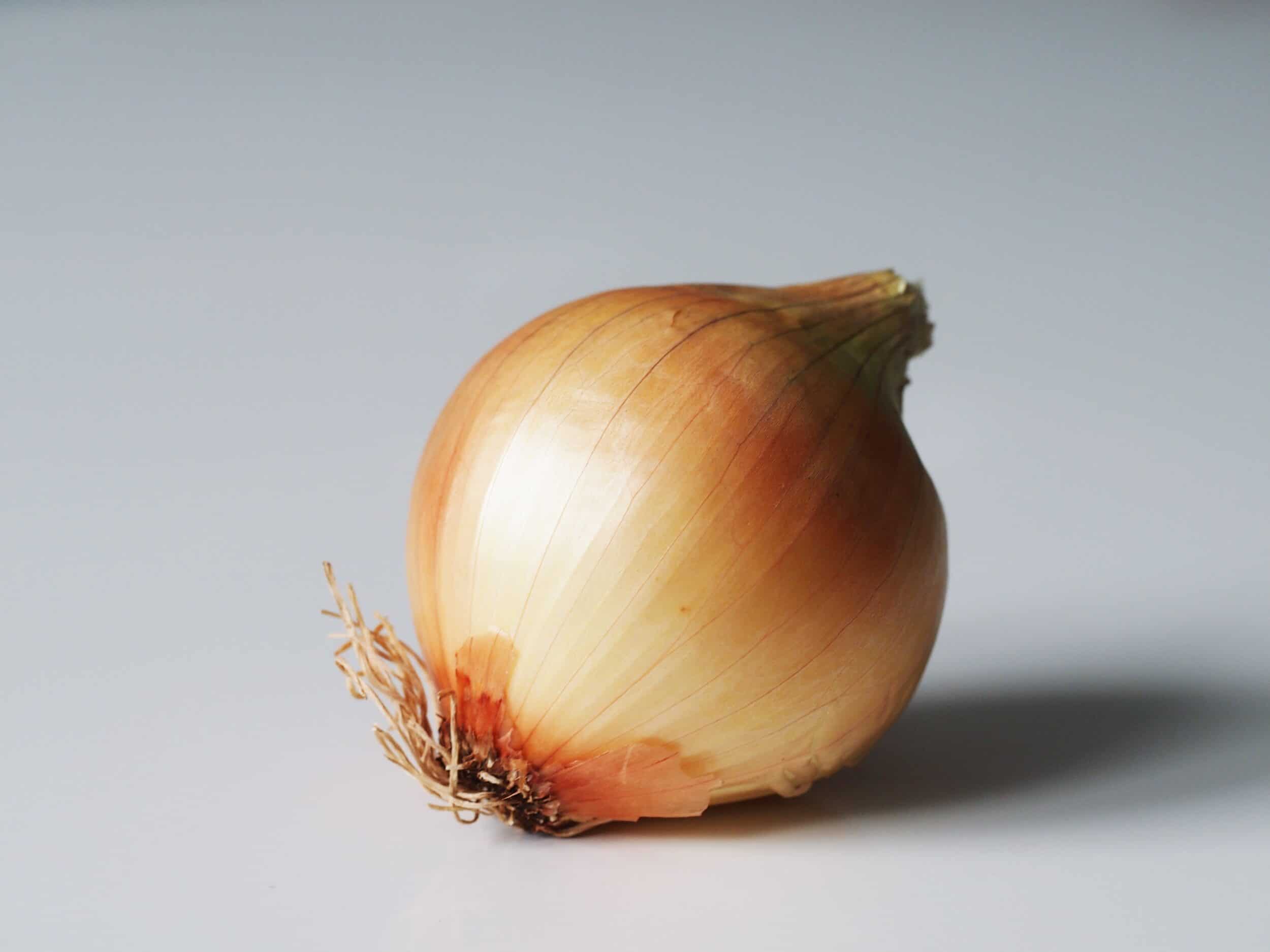 Detail Picture Of A Onion Nomer 3