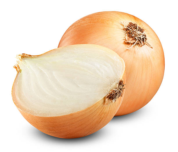 Detail Picture Of A Onion Nomer 23
