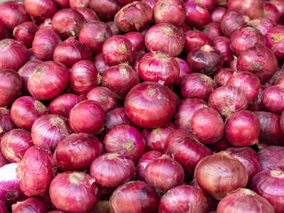 Detail Picture Of A Onion Nomer 51