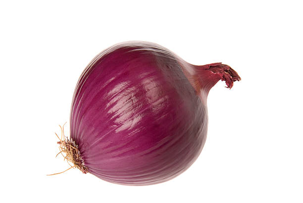 Detail Picture Of A Onion Nomer 7