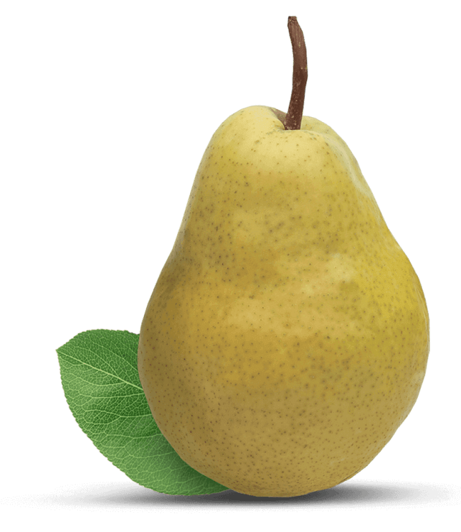 Picture Of A Pear - KibrisPDR
