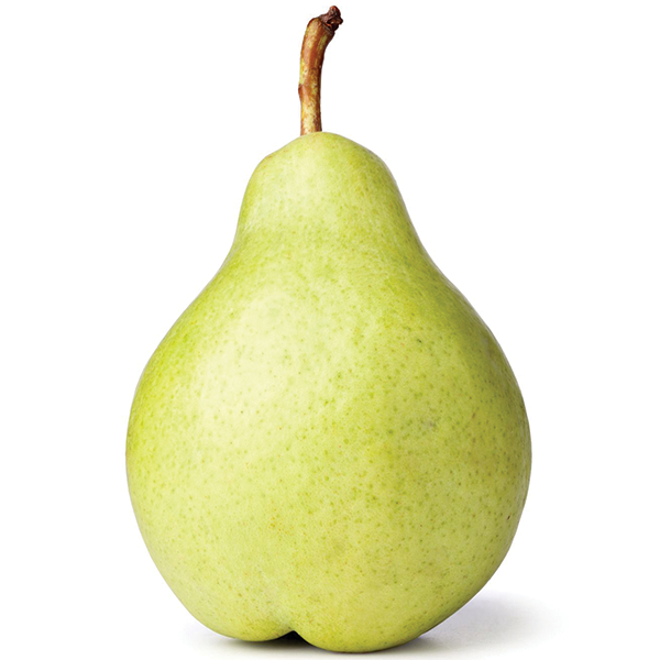 Detail Picture Of A Pear Nomer 12