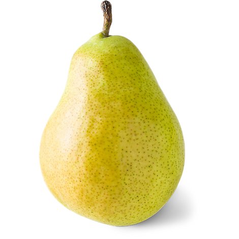 Detail Picture Of A Pear Nomer 13