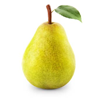 Detail Picture Of A Pear Nomer 15