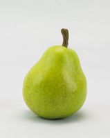 Detail Picture Of A Pear Nomer 23