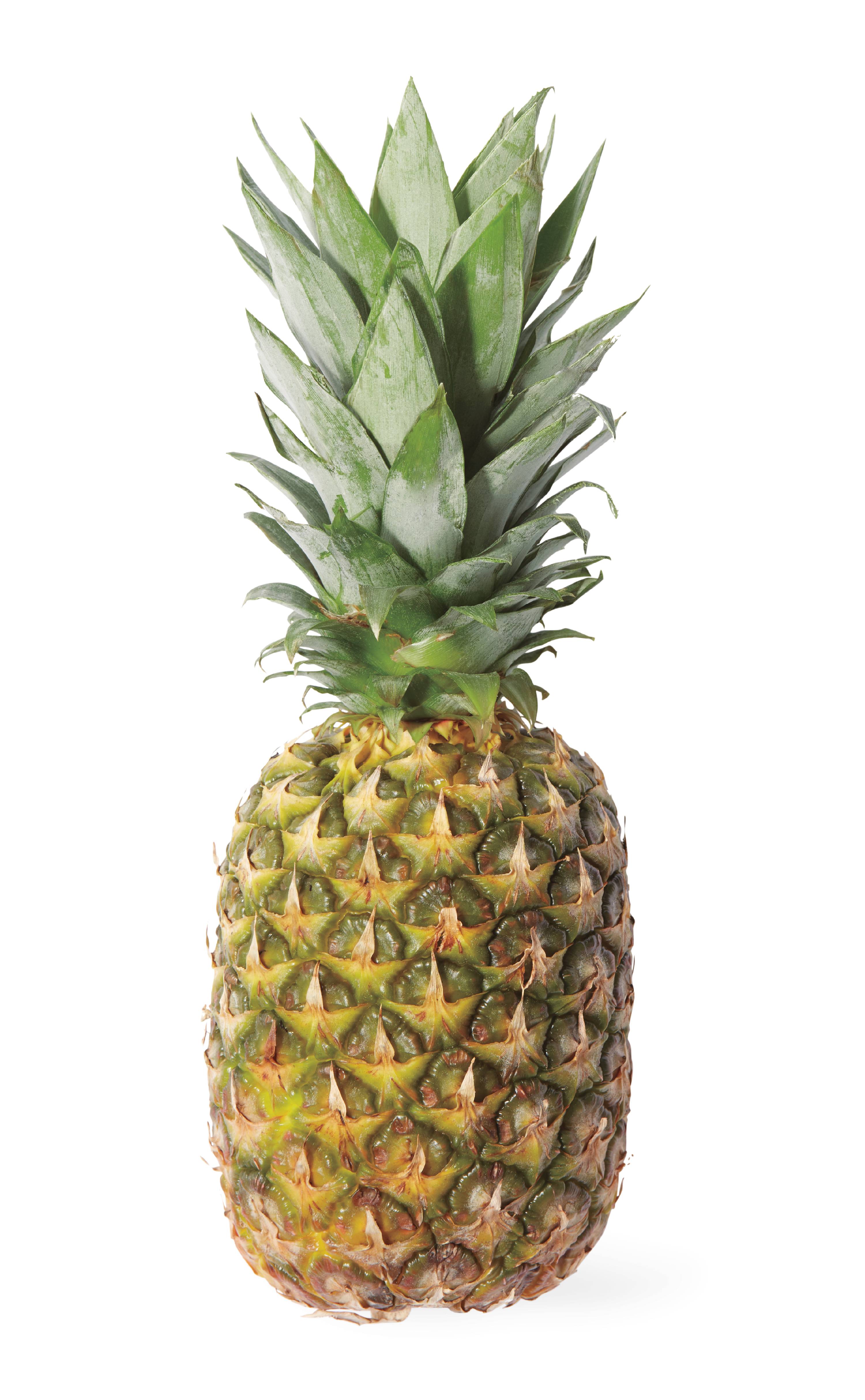 Download Picture Of A Pineapple Nomer 16
