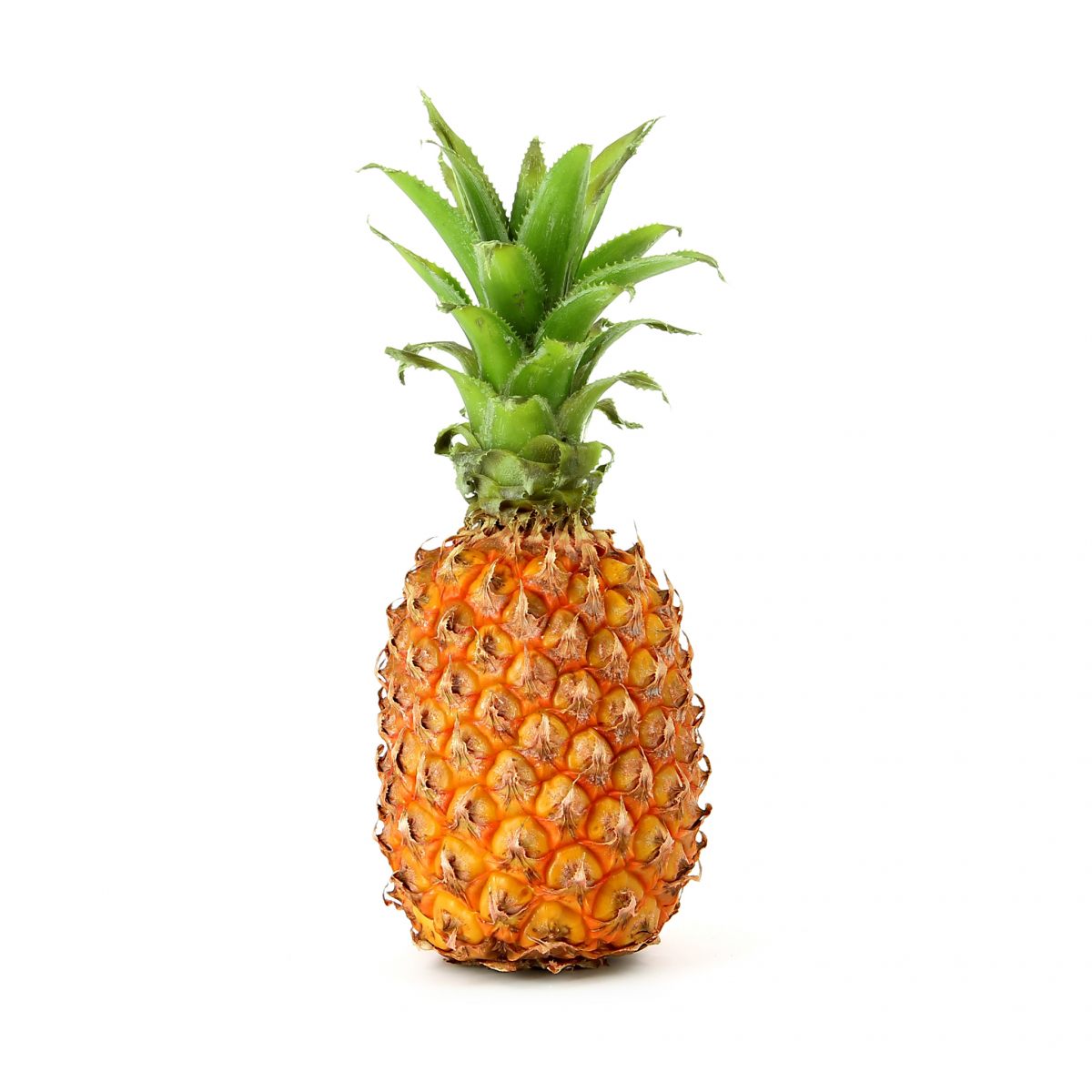 Detail Picture Of A Pineapple Fruit Nomer 2
