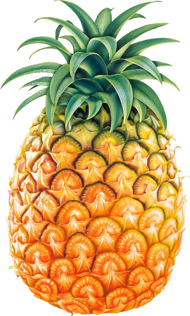 Detail Picture Of A Pineapple Fruit Nomer 20