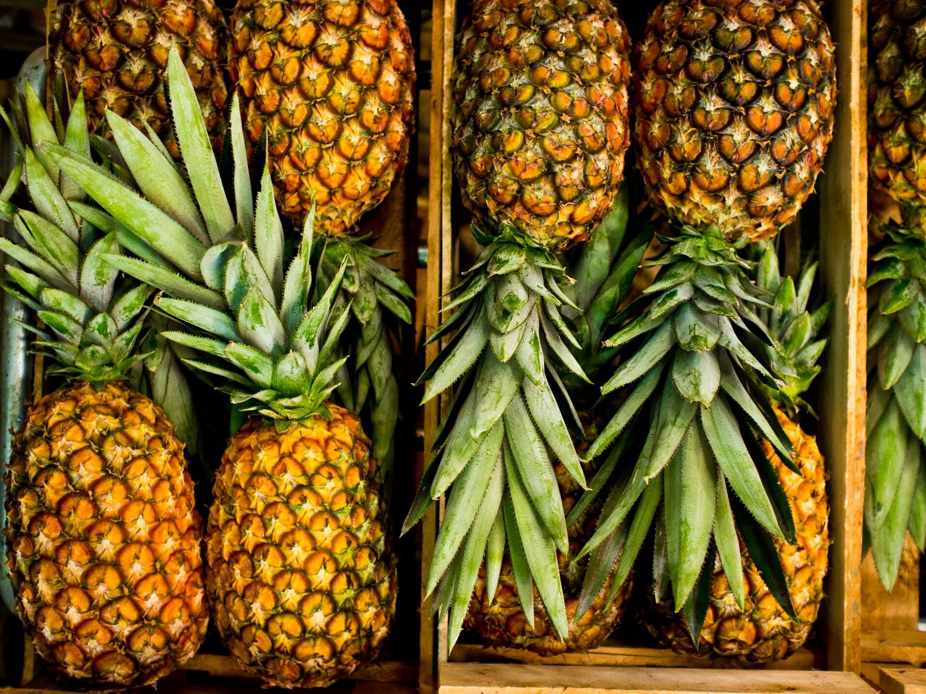Detail Picture Of A Pineapple Fruit Nomer 27