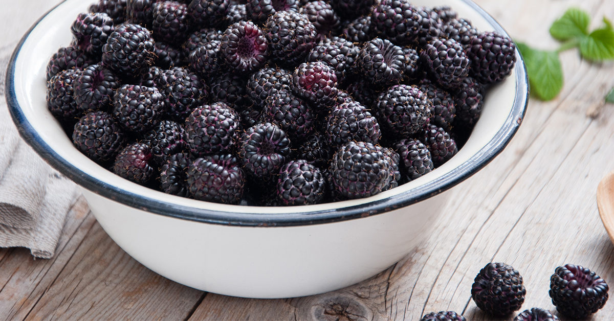 Detail Picture Of A Raspberry Nomer 13