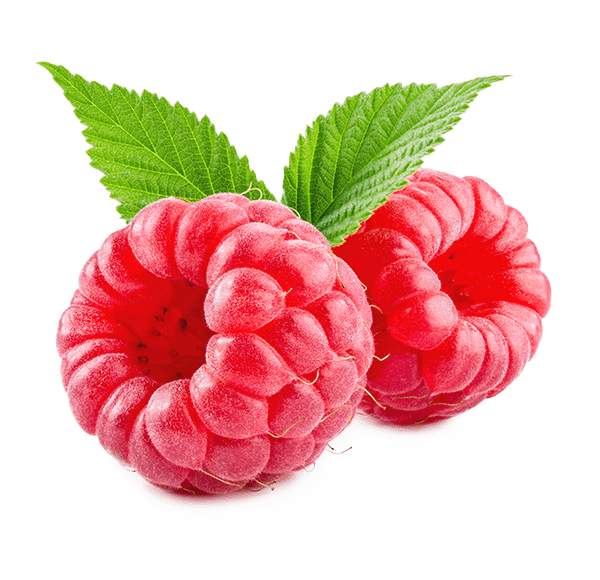 Detail Picture Of A Raspberry Nomer 16