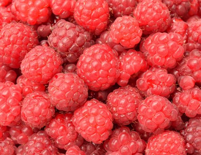 Detail Picture Of A Raspberry Nomer 24